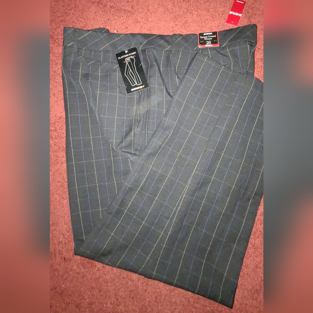 NWT Tummy control trouser Avenue 26